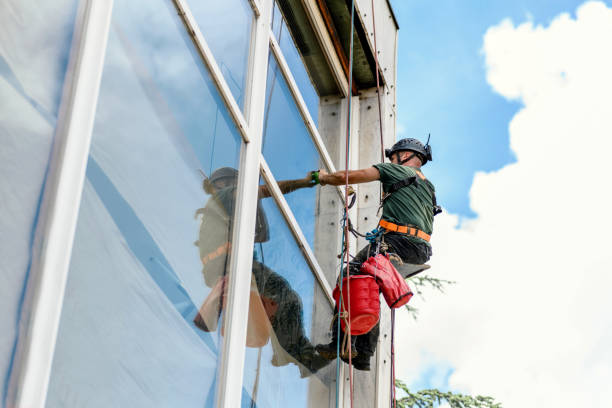 Best Basement Window Installation  in Eming Island, FL